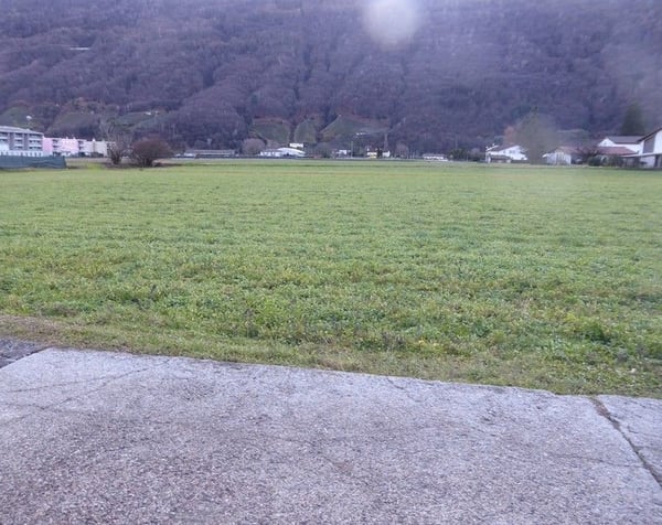 *Bosco, prato/campo* 2