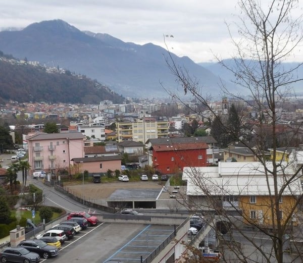 *Bosco, prato/campo* 4