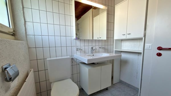26-321 Charmantes 5.5 - Zimmer-Einfamilienhaus mit Potenzial 10