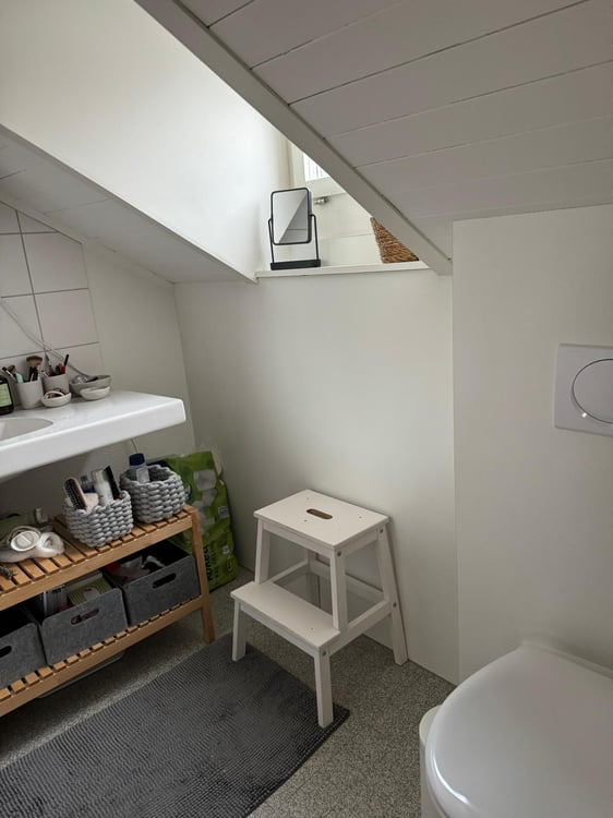 befristete 6-Zimmer-Wohnung mit schönem Garten 6
