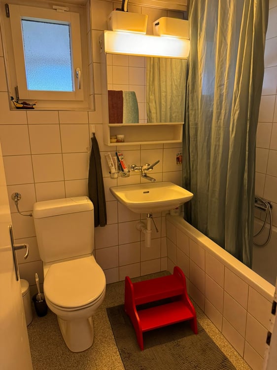 befristete 6-Zimmer-Wohnung mit schönem Garten 7