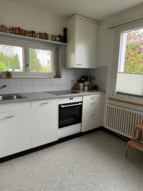 befristete 6-Zimmer-Wohnung mit schönem Garten 5
