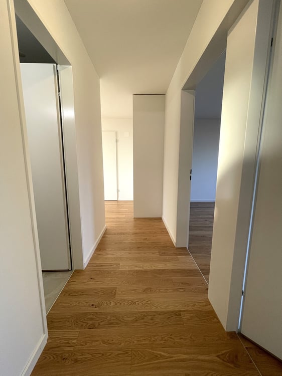 Attikawohnung mit grosser Terrasse und sensationeller Weitsicht 7