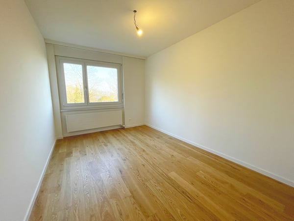 Attikawohnung mit grosser Terrasse und sensationeller Weitsicht 6