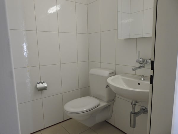 Gemütliche Wohnung im ruhigen und schönen Kilchberg! 8
