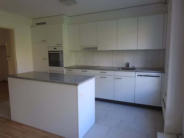 Gemütliche Wohnung im ruhigen und schönen Kilchberg! 2