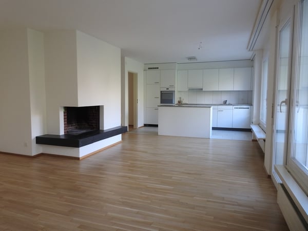 Gemütliche Wohnung im ruhigen und schönen Kilchberg! 3