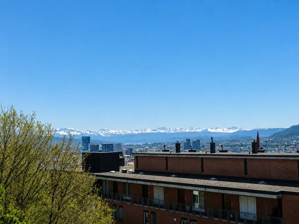 Attikawohnung mit grosser Terrasse und sensationeller Weitsicht 10