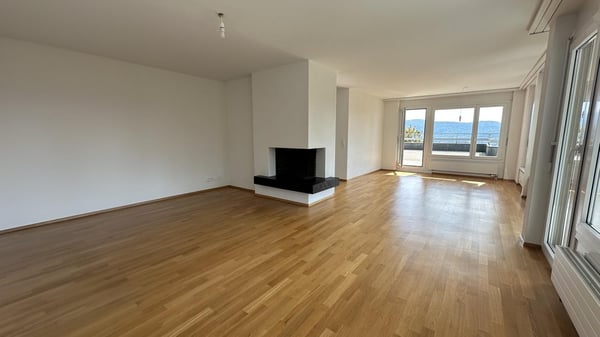 Attikawohnung mit grosser Terrasse und sensationeller Weitsicht 5