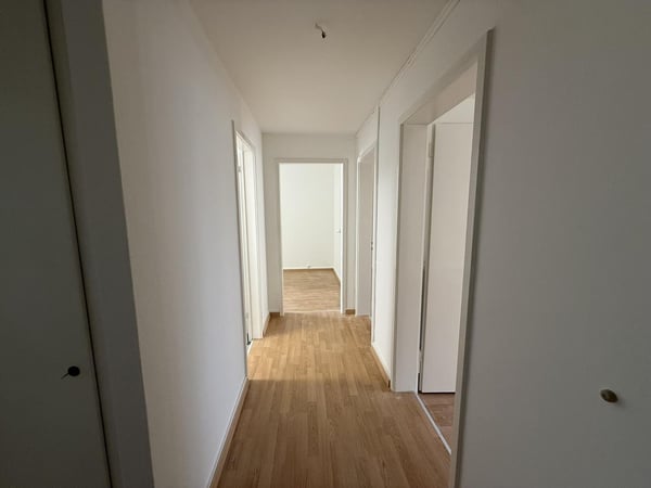 Gemütliche Wohnung an zentraler Lage in Zürich-Wollishofen 7