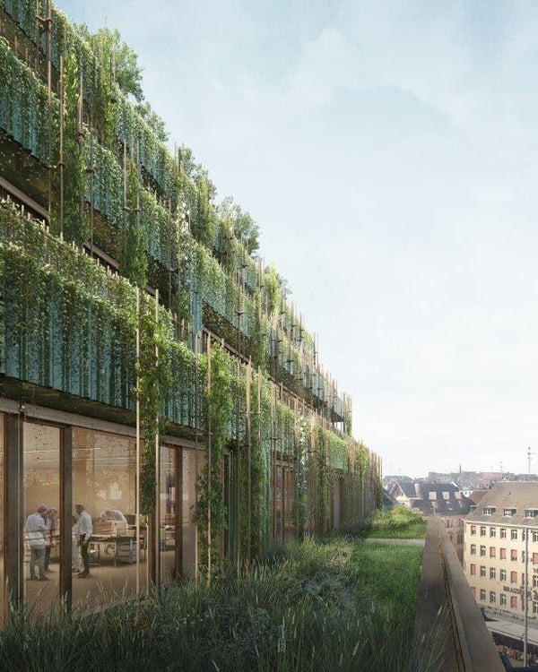 The New Office am Marktplatz 6