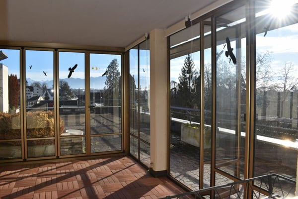 grosse Wohnung in Bahnhofsnähe 5