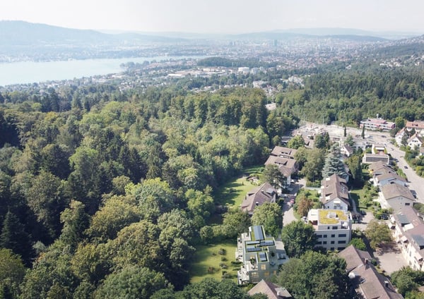 Pirol - Der Neubau am Waldrand 2