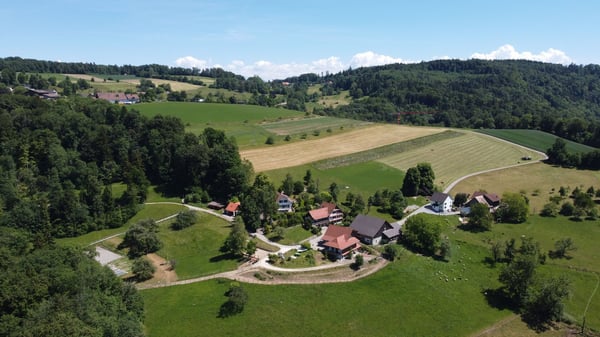Idyllischer Landsitz mit viel Umschwung in Stadtnähe 1