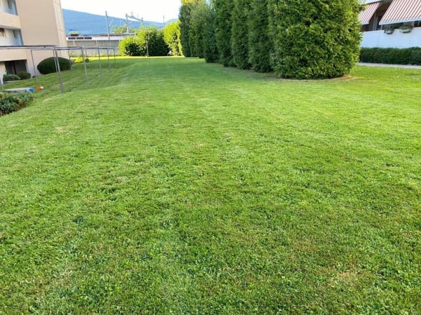 Neu Sanierte 1.5  Zimmerwohnung Wohnung in Dulliken!! 9