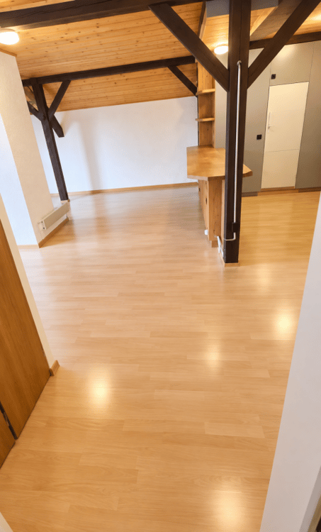 Charmante Dachwohnung direkt neben der Universität St. Gallen (HSG) 8