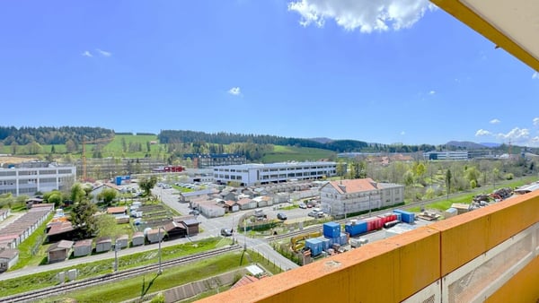 Appartement 2 chambres moderne à La Chaux-de-Fonds - Idéal pour étudiant & première occupation après rénovation complète 4