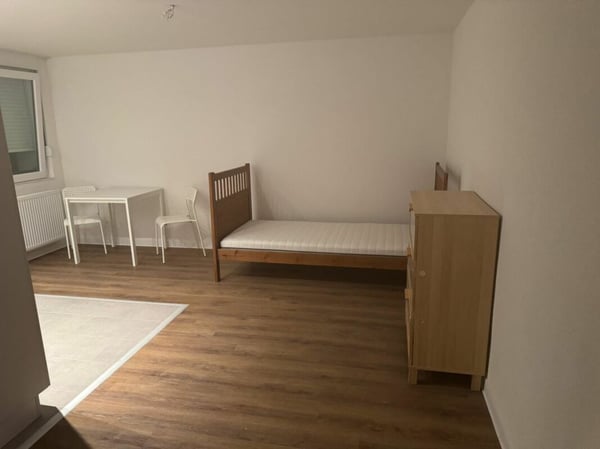 Appartement moderne 1 pièces - entièrement rénové et désormais loué meublé 6