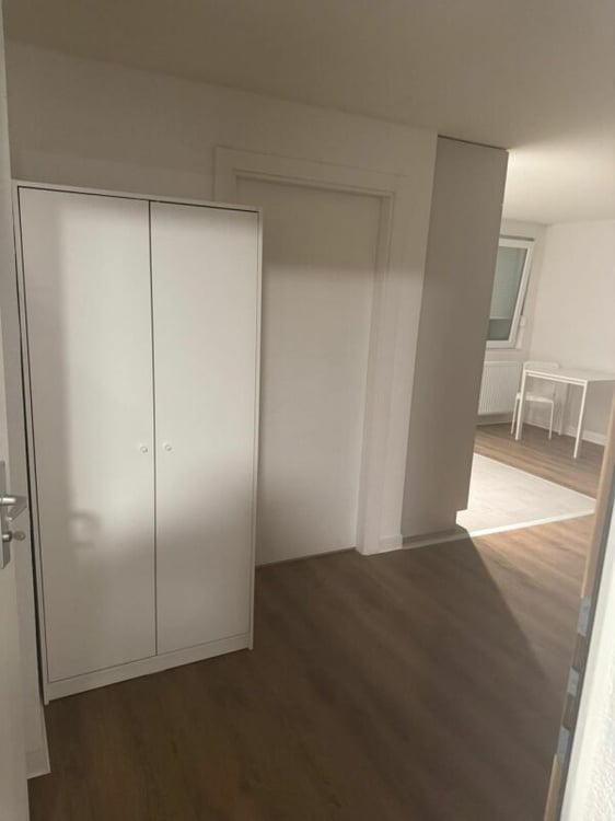 Appartement moderne 1 pièces - entièrement rénové et désormais loué meublé 11