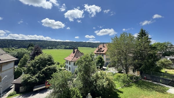 Grand appartement moderne de 3,5 pièces 14