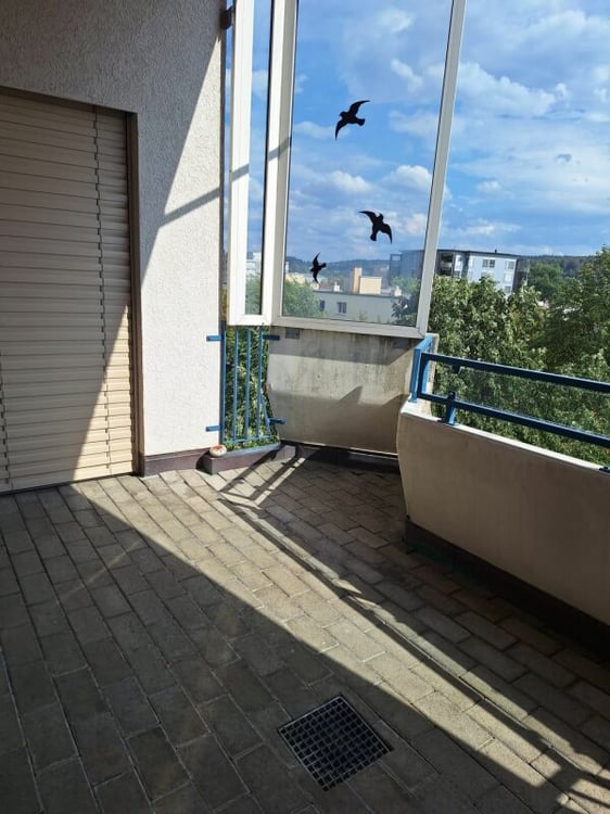 Eine sanierte und helle 2.5 Wohnung in einer  ruhiger Lage Solothurn 15