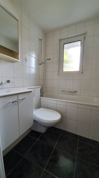 Zu vermieten: 1 Zimmerwohnung mit grossem Balkon an ruhiger Lage 12