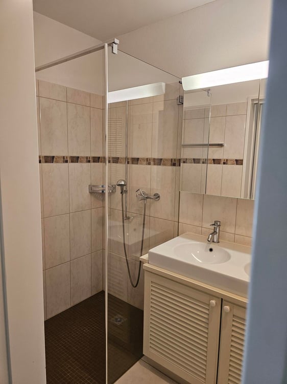 Moderne 4.5-Zimmer-Wohnung im Erdgeschoss in Frauenfeld 8