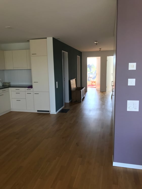 Wohnung mit wunderschöner Aussicht mitten in Frauenfeld 6