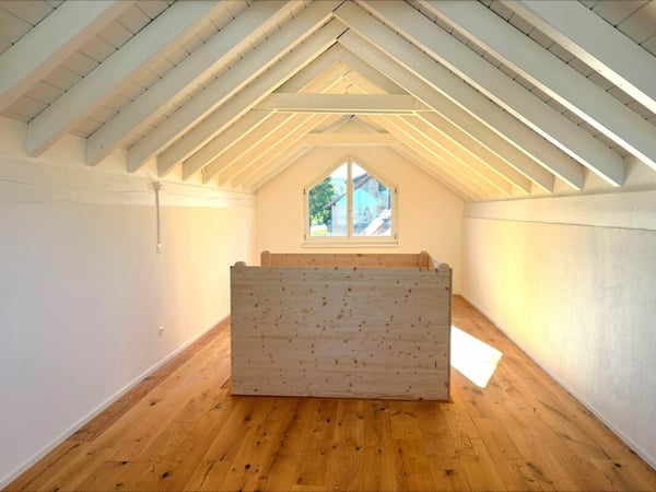 Grosszügiges 3.5-Zimmer-Einfamilienhaus mit 2.5-Zimmer-Einliegerwohnung, riesiger Garage und sonniger Gartenanlage 14