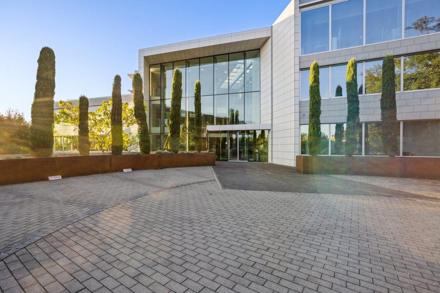 modern office building with glass walls, glass entrance, wide concrete brick courtyard, trees