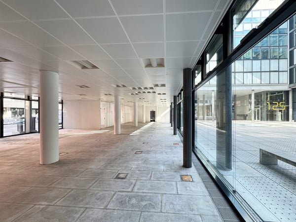 Erdgeschoss Gewerbefläche in Zürich-West 5