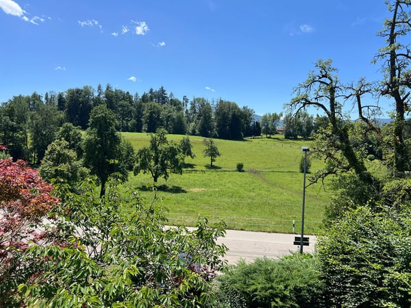Idyllisch wohnen im Grünen zwischen Feldbach und Lenggis 14