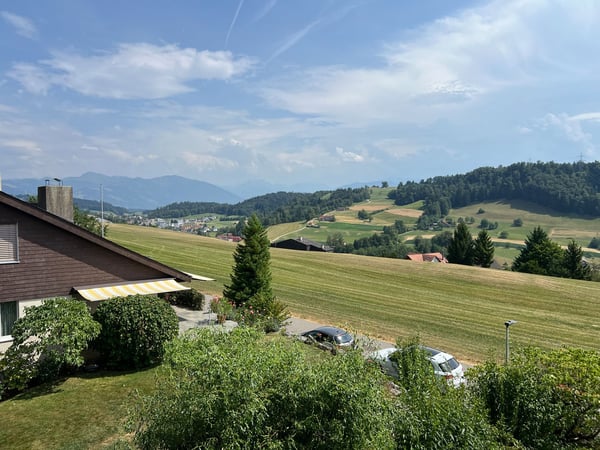 8.5-Zimmer-Doppel-Einfamilienhaus an bevorzugter Wohnlage 7