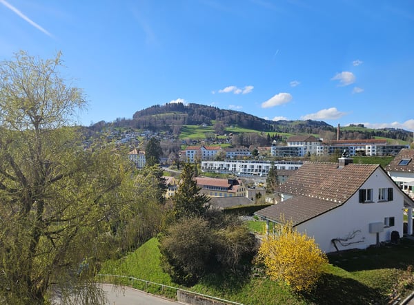 Erstvermietung - attraktiv Wohnen mit herrlicher Aussicht 3