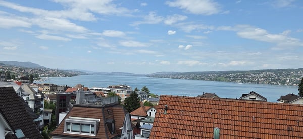 Maisonette mit Seesicht, privatem Garten und einzigartigem Wohnatelier inkl. Garage 16