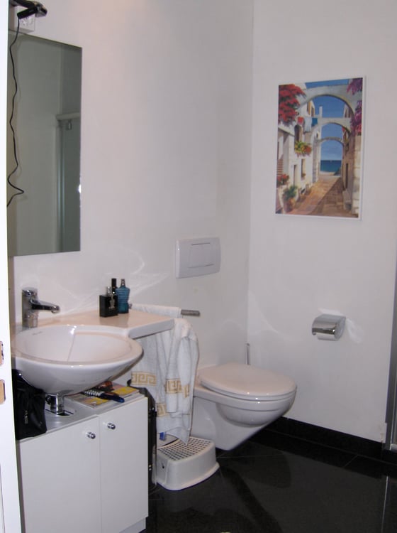 Charmante 3.5-Zimmer-Dachwohnung in Schönenberg ZH – Modern, Ruhig & Mit Aussicht 4
