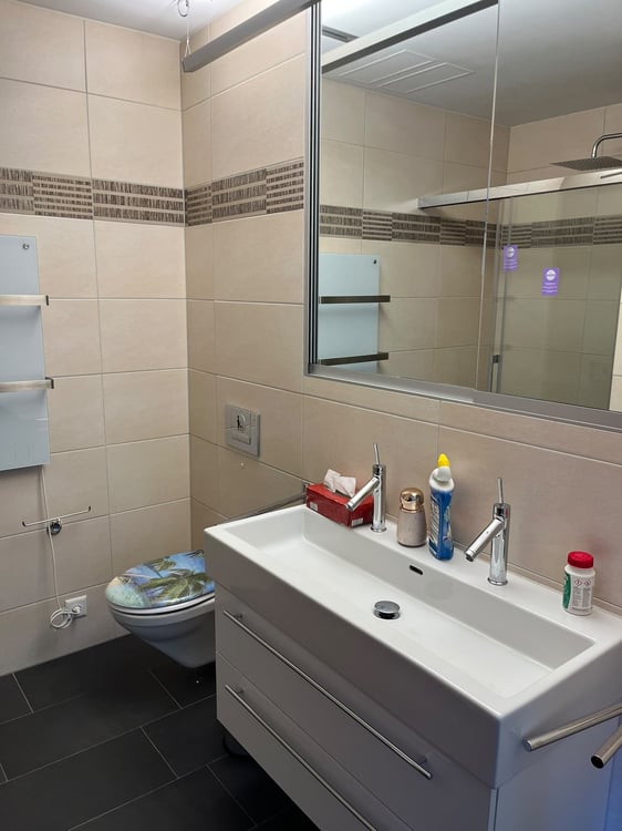 Helle 4.5-Zimmer-Wohnung mit Seesicht an der Seestrasse in Horgen 29