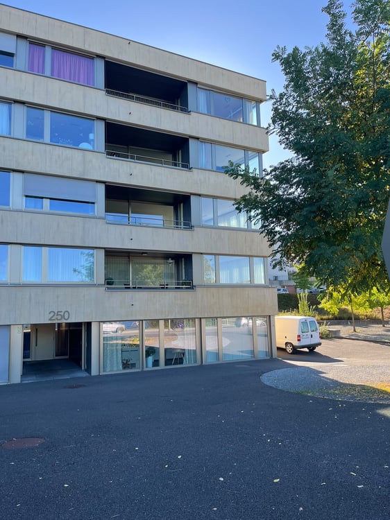Helle 4.5-Zimmer-Wohnung mit Seesicht an der Seestrasse in Horgen 1