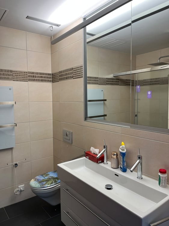 Helle 4.5-Zimmer-Wohnung mit Seesicht an der Seestrasse in Horgen 28