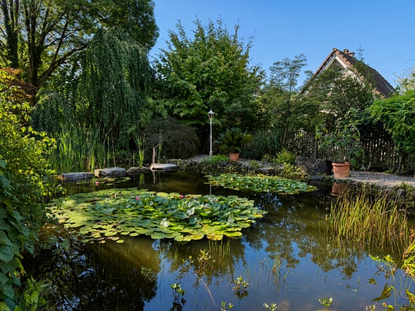 Idyllisches Zuhause in St. Gallen – Gartenparadies mit Schwimmteich 10