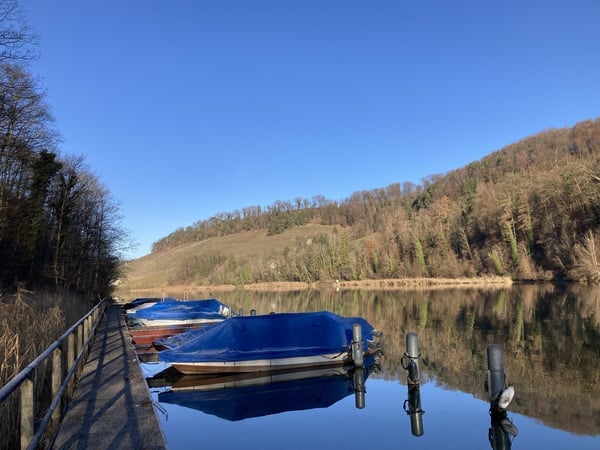 Helle 4½-Zimmerwohnung mit schöner Aussicht auf den Rhein 12