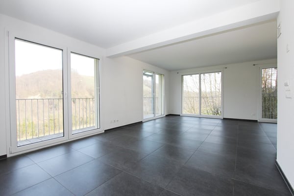 Helle 4½-Zimmerwohnung mit schöner Aussicht auf den Rhein 2