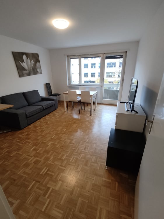 1.5 room Apartment in Gundeli 2