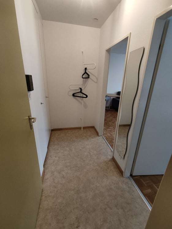 1.5 room Apartment in Gundeli 6