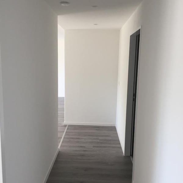 Zwei Balkone mitten in Winterthur 2