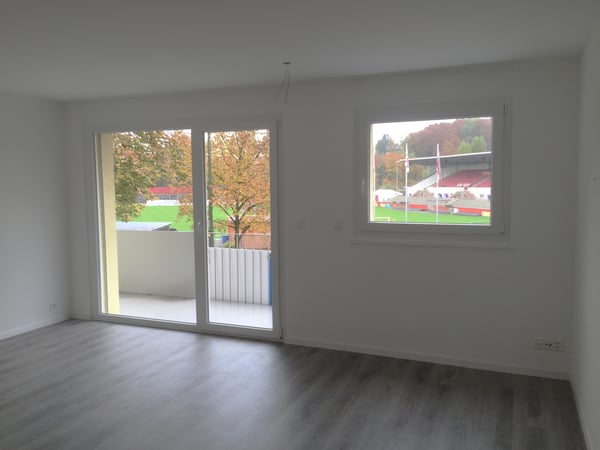 Zwei Balkone mitten in Winterthur 3