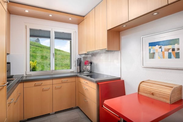 Gepflegtes 5.5-Zimmer-Terrassenhaus mit unverbaubarer Seesicht in Wädenswil! 9
