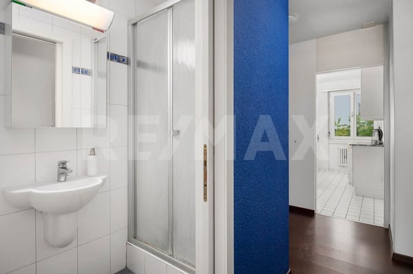 Schöne 4-Zimmer Wohnung mit wundervollem Blick auf den Zürichsee 11