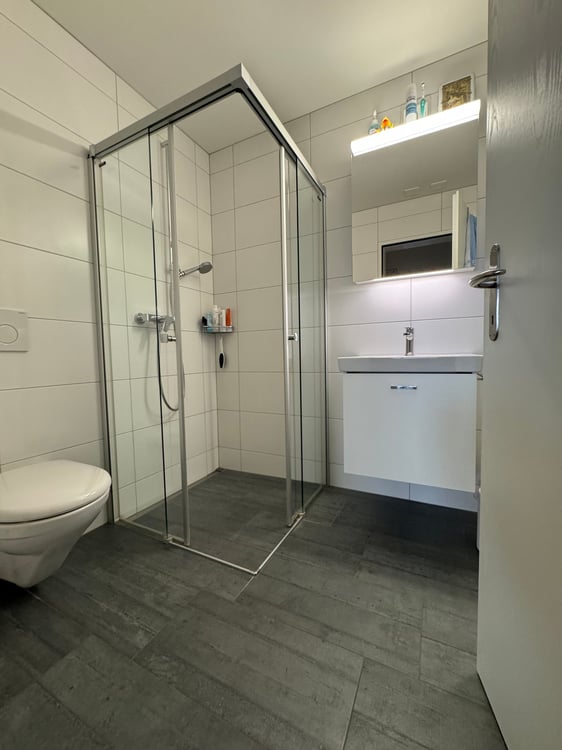 Moderne 1.5-Zimmer-Wohnung mit Blick auf den See- und in die Berge 30