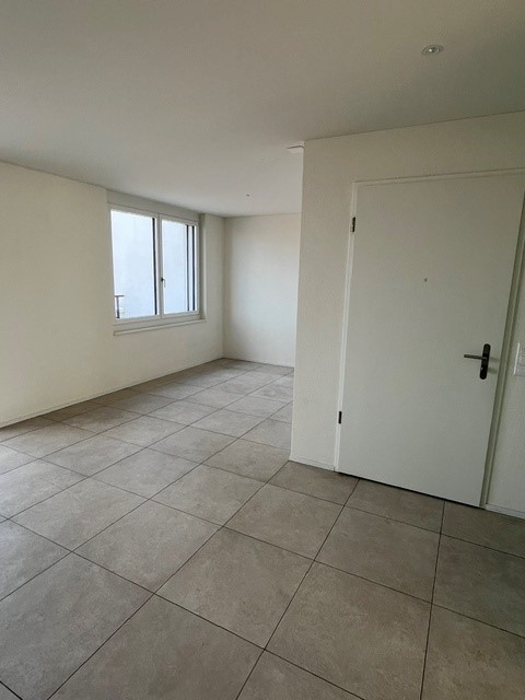 moderne und grosszügige Wohnung im Zentrum von Dübendorf zu vermieten. 3